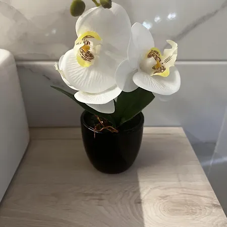 Prázdninový dům El Rinconcillo Vut-av-01018 La Parra (Castile and Leon)