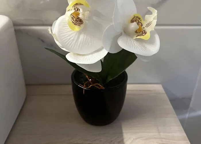 펜션 El Rinconcillo Vut-av-01018 La Parra (Castile and Leon)